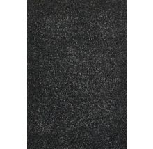 Koberec Proteus šířka 400 cm černý FB.99 (metráž)