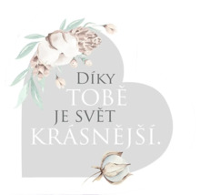 Dekorativní obrázek s květinami a textem ''Díky tobě je svět krásnější'', což v překladu znamená ''Díky tobě je svět krásnější''.