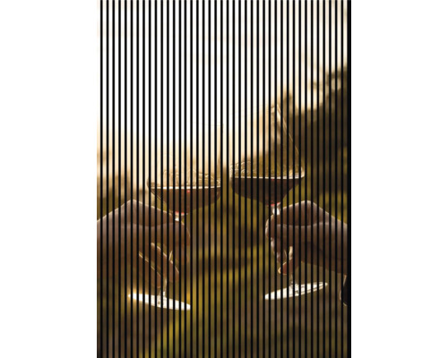 Designový akustický panel DIGI05L 1693x19x2400 mm Dva lidé si připíjejí červeným vínem, s optickým efektem svislých čar.