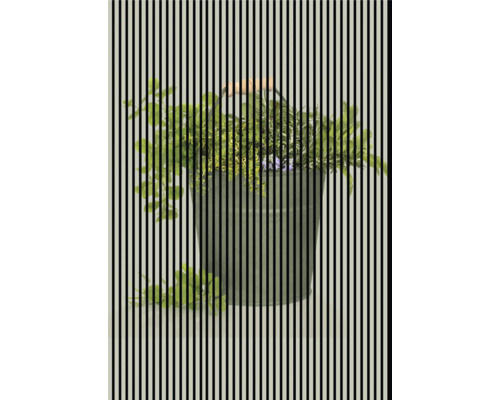 Designový akustický panel DIGI05N 1693x19x2400 mm Kbelík s různými rostlinami
