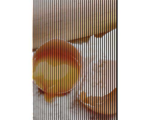 Designový akustický panel DIGI05T 1693x19x2400 mm Dvě vejce na krájecí desce
