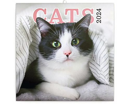 Poznámkový kalendář Kočky 2024