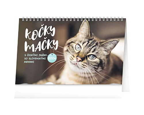 Stolní kalendář Kočky – Mačky CZ/SK 2024