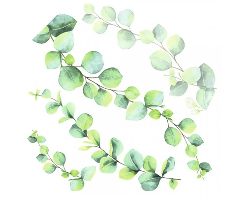 Ilustrace eukalyptových větví