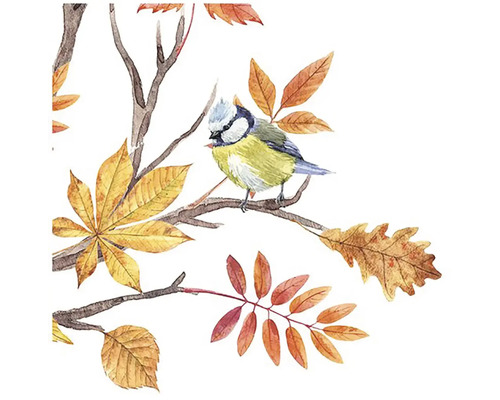 Ilustrace modrého ptáka Titmuse na větvi s podzimním listím