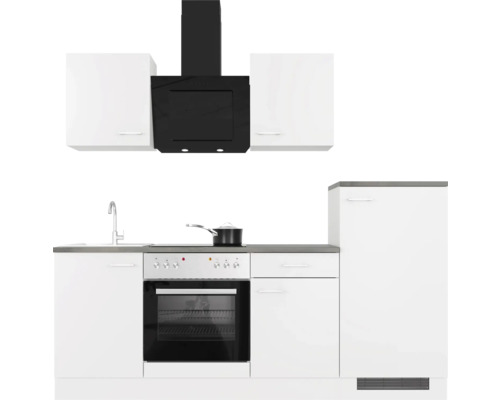 Kuchyňská linka se závěsnými skříňkami, digestoří, dřezem, sporákem s troubou a lednicí