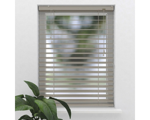 Okno s horizontálními žaluziemi pro regulaci světla
