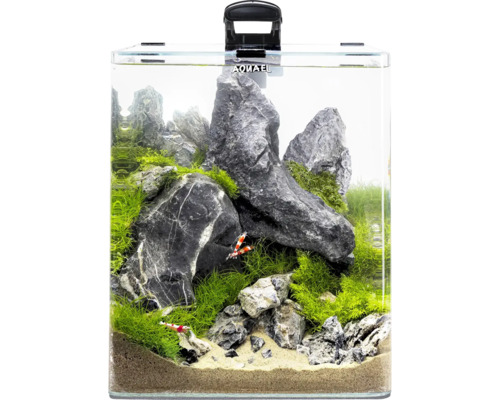 Akvárium s kameny, rostlinami a krevetami