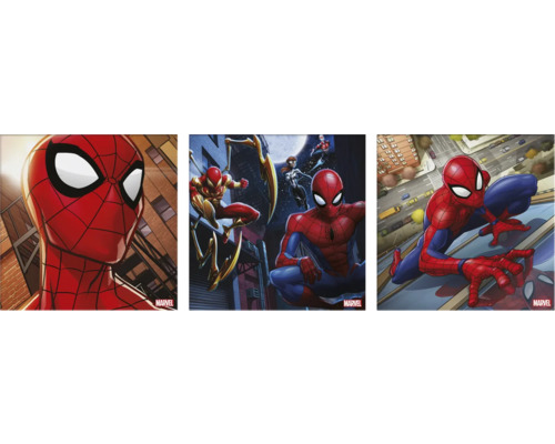 Obraz na plátně 3ks Set Spiderman 30x30 cm