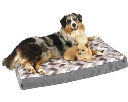 Pelíšek pro psy se dvěma psy