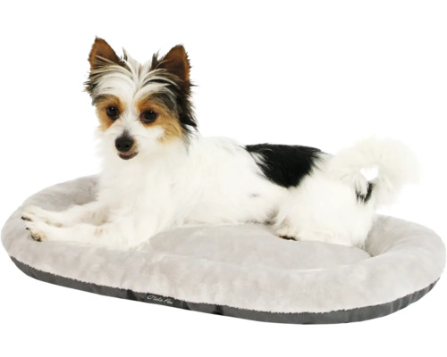 Pes leží v psí posteli