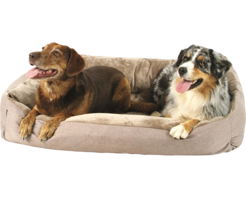 Dva psi odpočívají v pelíšku.