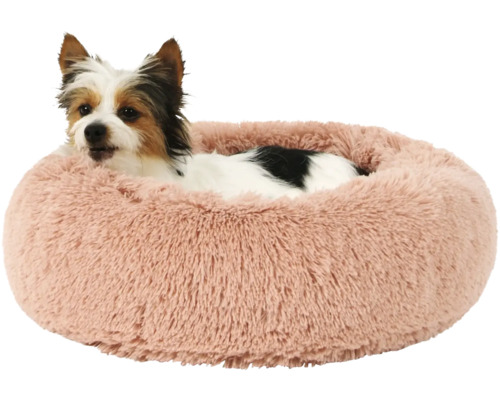 Pes leží v kulatém, měkkém pelíšku