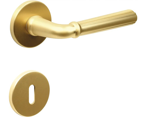 Kovová klika a klíčová rozeta