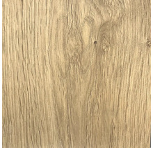 Struktura dřeva, detailní záběr