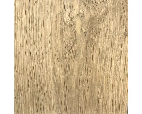 Struktura dřeva, detailní záběr