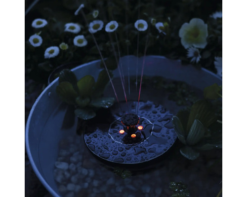 Solární fontána v zahradním jezírku s vodními rostlinami