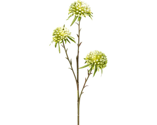 Umělá rostlina okrasný česnek Allium 62 cm zeleno-bílá