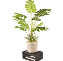 Umělá rostlina Monstera v květináči na dřevěné bedně