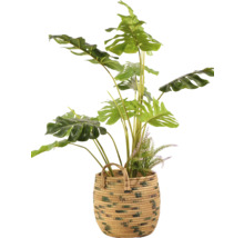 Umělá rostlina Monstera v proutěném košíku k dekoraci