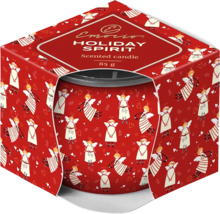 Vonná svíčka Emocio Holiday Spirit, 85 gramů, s motivem anděla
