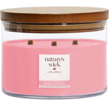 Vonná svíčka Nature''s Wick Sea Salt Watermelon ve sklenici s dřevěným víčkem