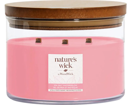 Vonná svíčka ve skle WoodWick Nature's Wick tumbler velký 3 knoty SALT WATERMELON 433 g Vonná svíčka Nature''s Wick Sea Salt Watermelon ve sklenici s dřevěným víčkem