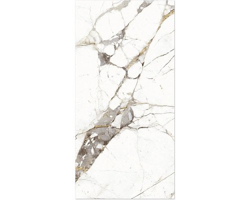 Dlažba imitace mramoru Empero Classico bianco 60 x 120 cm