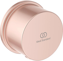 Podomítkový vývod Ideal Standard 100 x 100 mm růžová BC808RO