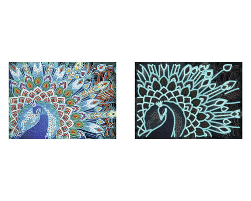 Diamantová malba s motivem páva, zobrazená ve dvou variantách