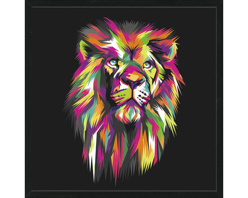 Obraz v rámu Colorful Lion Head II 53x53 cm