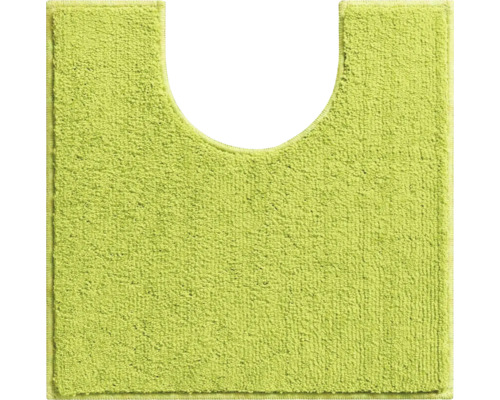 Předložka na WC Grund ROMAN 50 x 50 cm zelená