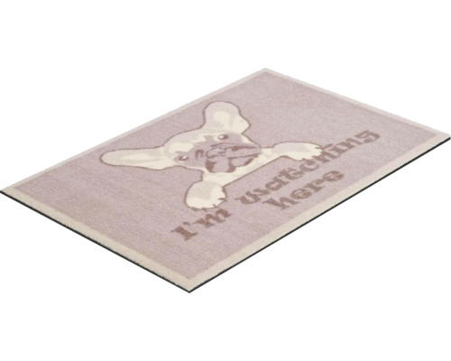 Rohožka s motivem psa a nápisem Dívám se sem