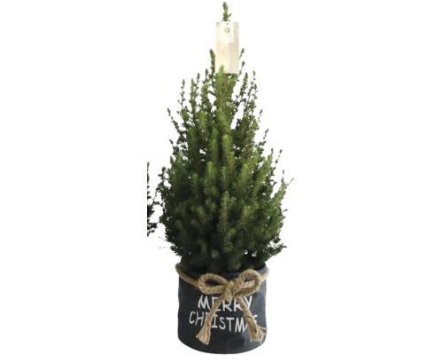 Vánoční stromek v květináči s nápisem Merry Christmas