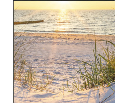 Pláž s mořem a dunami v slunečním světle