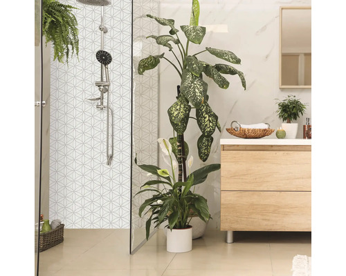 Moderní koupelna se sprchou, skříňkou pod umyvadlo a pokojovými rostlinami pro přirozenou atmosféru.