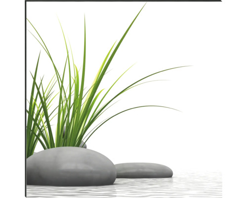 Ilustrace s trávami a kameny ve vodě