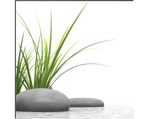 Ozdobné kameny s okrasnou trávou ve vodě