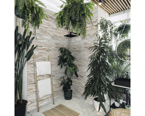 Prostorný sprchový kout s rostlinami, žebříkem na ručníky a kamennou zdí