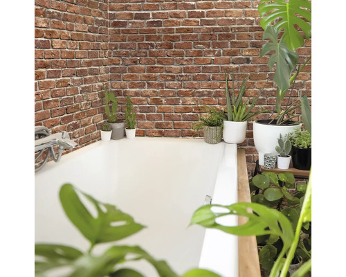 Koupelna s vanou, cihlovou stěnou a různými rostlinami.