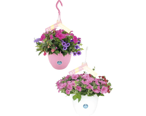 Blooming Joy Mother FloraSelf závěsný květináč Ø 27 cm