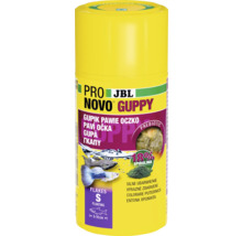 JBL PRONOVO GUPPY FLAKES S 100 ml