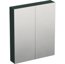 Zrcadlová skříňka bez osvětlení Jungborn TRENTA 60 x 14,4 x 72 cm mátová zelená
