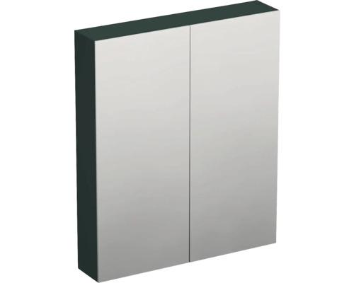 Zrcadlová skříňka bez osvětlení Jungborn TRENTA 60 x 14,4 x 72 cm mátová zelená Zrcadlová skříňka se dvěma dvířky do koupelny
