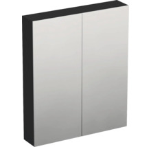 Zrcadlová skříňka bez osvětlení Jungborn TRENTA 60 x 14,4 x 72 cm černá matná