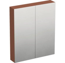 Zrcadlová skříňka bez osvětlení Jungborn TRENTA 60 x 14,4 x 72 cm cotto matná