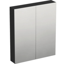 Zrcadlová skříňka bez osvětlení Jungborn TRENTA 60 x 14,4 x 72 cm černá matná