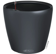 Černý květináč Lechuza se zavlažovacím systémem