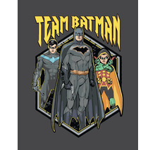 Ilustrace týmu Batman s Batmanem, Nightwingem a Robinem