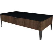 Koupelnová skříňka nízká Devo Lotos bronzová/černá 100 x 31 x 53 cm LF-SZS1S100x31-F115